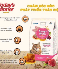 When it comes to taking care of pets, pet food in Da Nang plays a pivotal role in determining their long-term health, mood, and life span. With an increasing number of pet owners in Da Nang turning to premium options, it's important to know what makes quality pet food stand out and how to select the best for your furry friend. In this comprehensive guide, we’ll explore everything you need to know about pet food in Da Nang—from ingredients and brands to local buying tips—ensuring that every meal you serve your pet contributes to their happiness and wellness.
