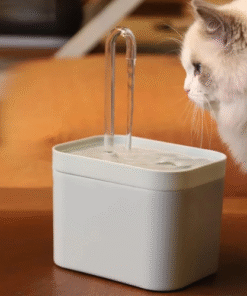 When it comes to raising happy and healthy pets, the importance of pet belongings in Da Nang often gets overlooked. However, these everyday essentials—from pet furniture and storage to grooming kits and travel containers—are crucial for keeping your home organized and your pets comfortable. In this in-depth guide, we’ll explore the most practical and stylish pet belongings available locally in Da Nang, helping you set up a pet-friendly environment that reflects love, functionality, and care.