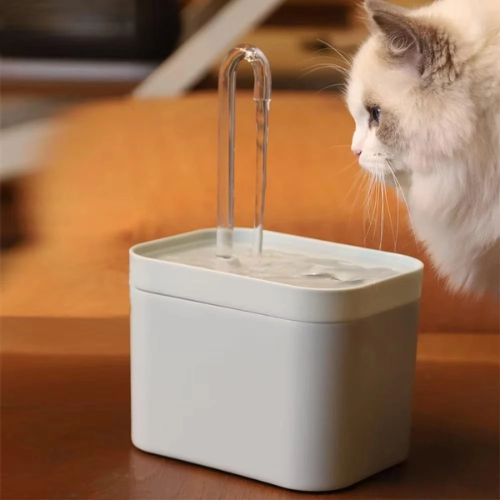 When it comes to raising happy and healthy pets, the importance of pet belongings in Da Nang often gets overlooked. However, these everyday essentials—from pet furniture and storage to grooming kits and travel containers—are crucial for keeping your home organized and your pets comfortable. In this in-depth guide, we’ll explore the most practical and stylish pet belongings available locally in Da Nang, helping you set up a pet-friendly environment that reflects love, functionality, and care.